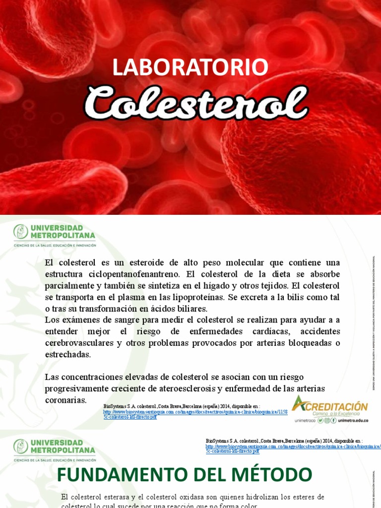 Lab Colesterol | PDF | Lipoproteína | Colesterol