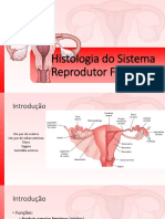 Histologia Sistema Reprodutor Feminino