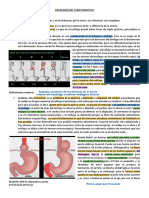 Patología del tubo digestivo: esófago y estómago