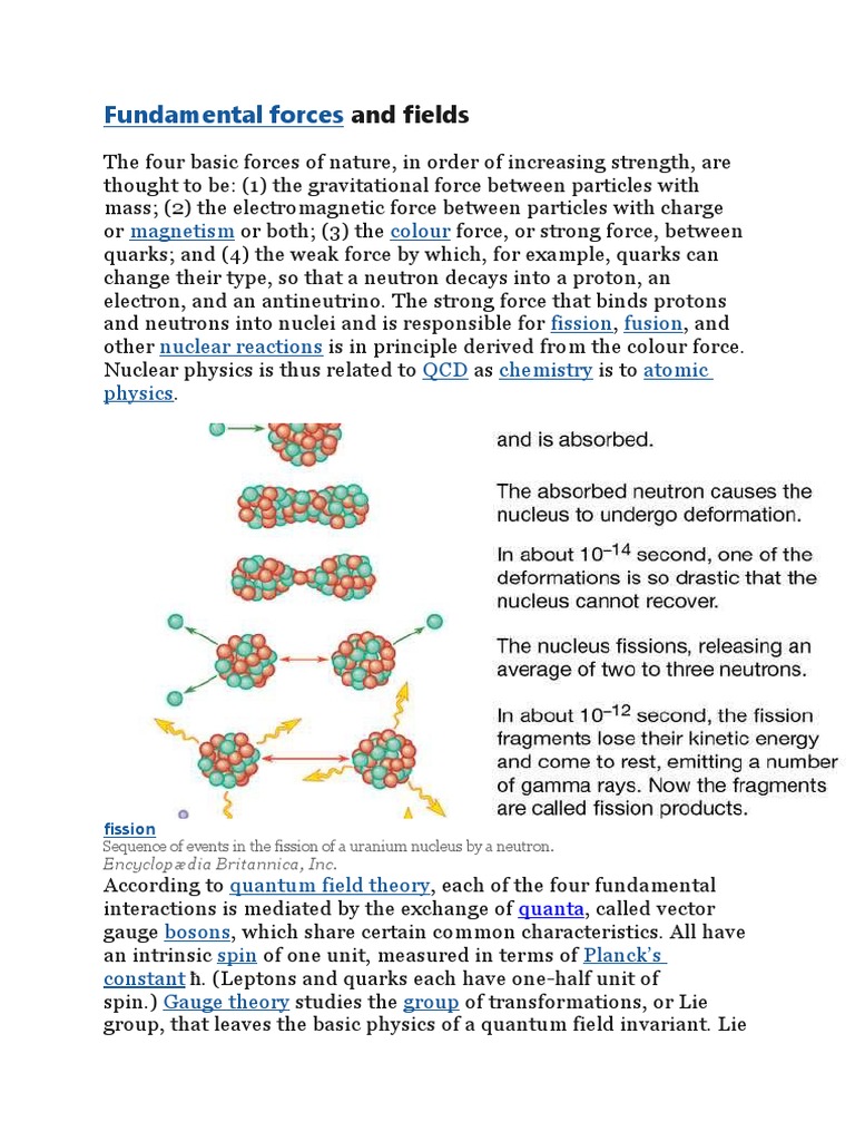 Fundamental Forces: and Fields | PDF | Technology & Engineering