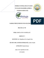 Informe 5 - Simulación y Modelado