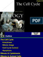 Chapter - 09 - Powerpoint - Le The Cell Cycle