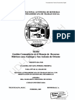 Gestion Comunitaria en El Manejo de Recursos Hidricos Caso: Guinope y San Antonio de Oriente 2009