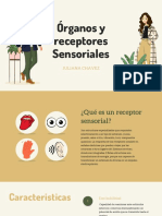 Órganos y Receptores Sensoriales