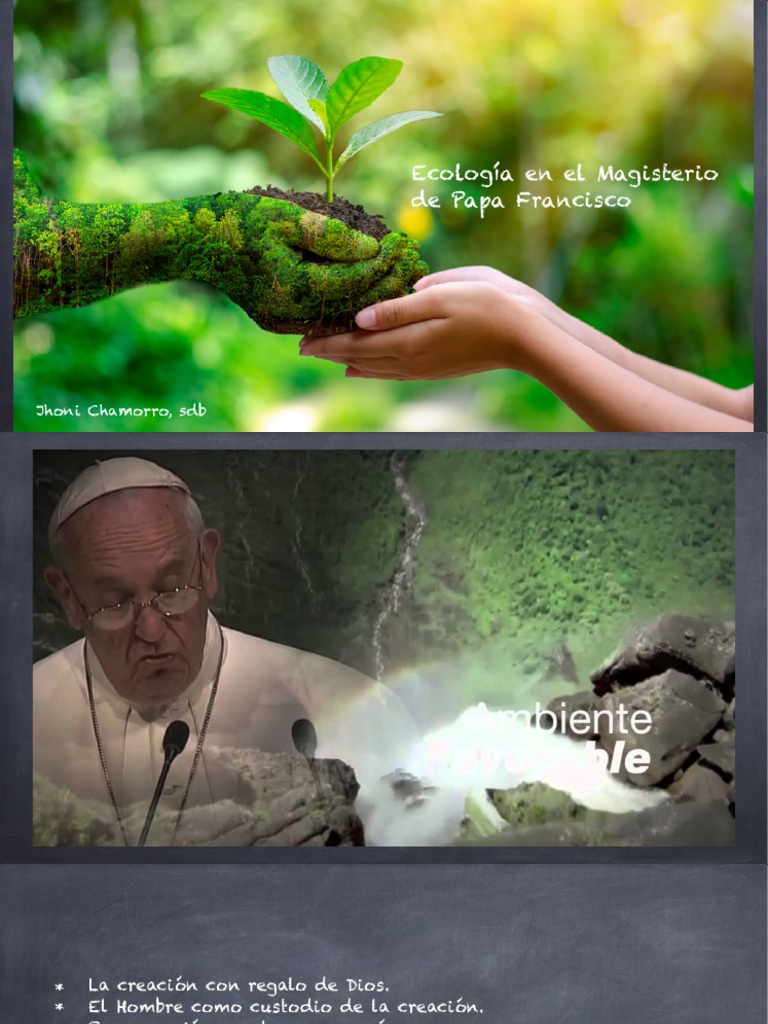 Ecologia en El Magisterio de Papa Francisco | PDF | Papa Francisco ...