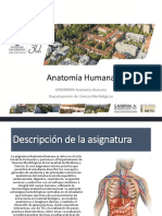 Clase 00 y 01 ¿Qué Es La Anatomia y Generalidades DMOR0004