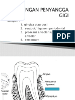 Jaringan Penyanggah Gigi