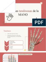 Lesiones Tendinosas de La Mano