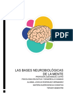 LAS BASES NEUROBIOLÓGICAS DE LA MENTEq