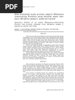 Download ribosome inactivating protein by ratna_melinda SN53045481 doc pdf