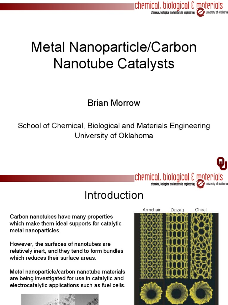 Metal Nanoparticle-CNT Catalysts Overview | PDF | Catalysis | Chemistry