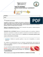 3° Medio A-B Ficha EXPRESIÓN GÉNICA Y ANEMIA FALCIFORME (Act 2)