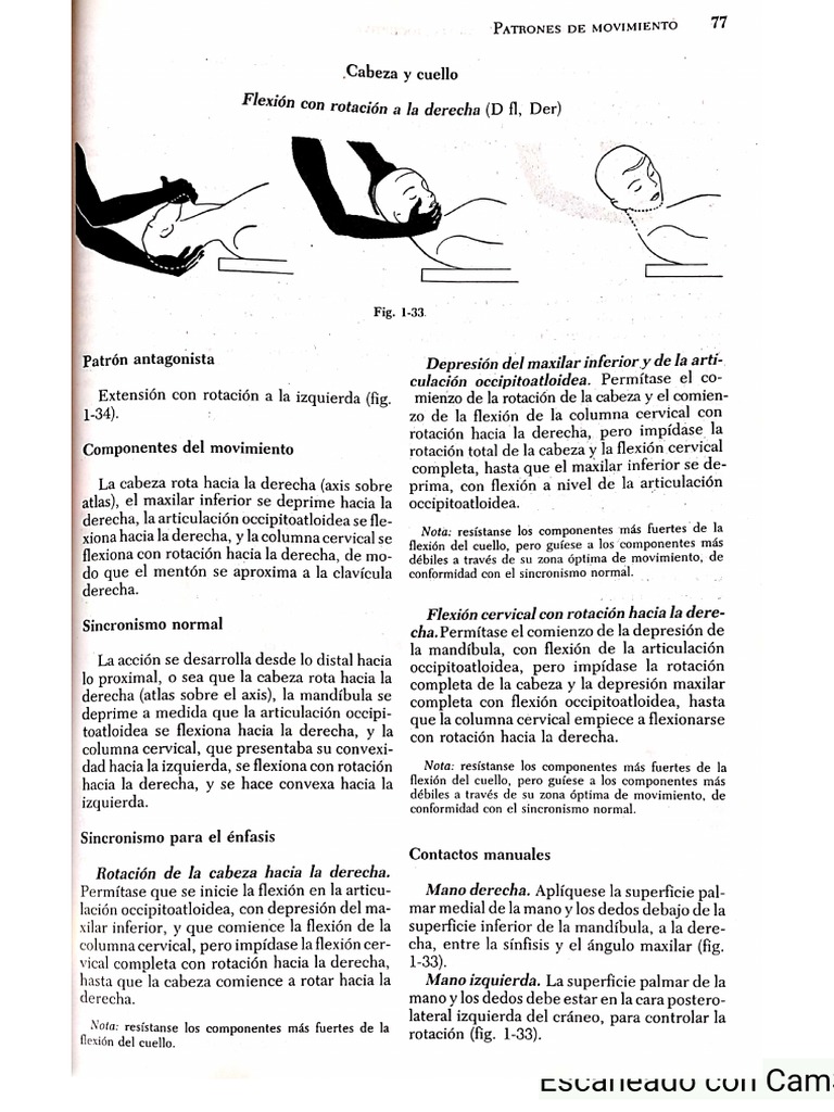 FNP Diagonales | PDF