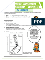 El Núcleo para Cuarto de Secundaria