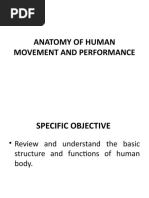 Anatomy of Human Movement and Performance Lesson 1