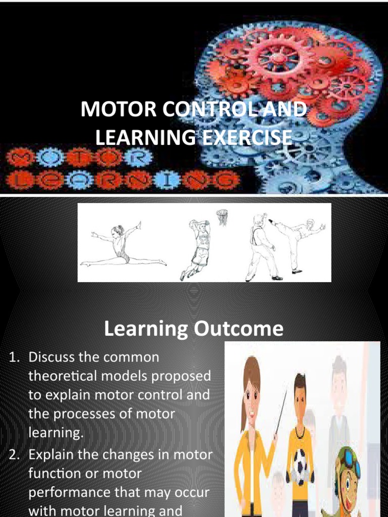 Motor Control and Learning Exercise 1 PDF Motor Control Learning