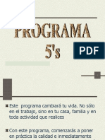 11- Programa de 5s