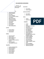 Guia N° 2 Viscerocraneo