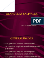 Glandulas Salivales