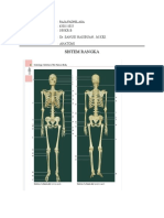 SISTEM RANGKA