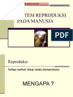 sistem-reproduksi-pada-manusia