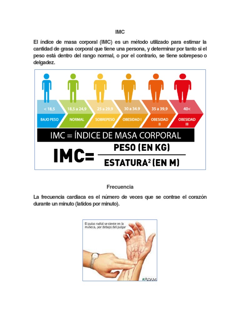 ¿Qué es el IMC y su utilidad? | PDF