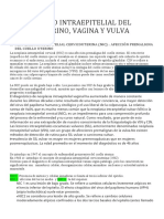 Enfermedad Intraepitelial Del Cuello Uterino, Vagina Y Vulva