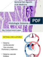 Histologia Sistema Cardiovascular 2021