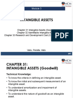 Module 3 Intangible Assets