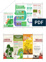 Brochure Deforestacion PNVB