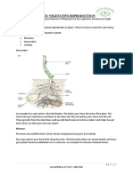 Combined Science: Vegetative Reproduction
