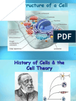 cellstructure