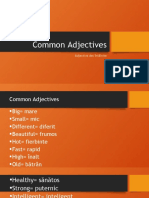 (8) Common adjectives