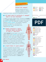 10 Il Sangue Circolazione Difesa