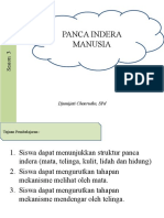 Panca Indera