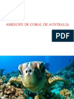 Arrecife de Coral de Australia