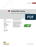 Global Bike Group: Product Motivation Notes