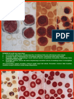 31293966 Atlas Hematology 2nd Ed
