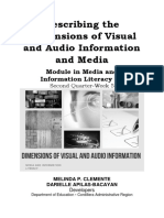 Describing The Dimensions of Visual and Audio Information and Media