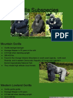 Gorilla Subspecies: Luke Hayes, Dominic Assid, Kewaun Barrow