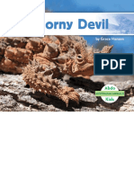 Thorny Devil