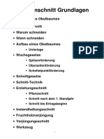 Grundlagen Obstbaumschntt