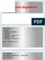 Sistema Digestório - Slides