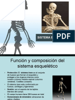 PDF Clase Esqueleto