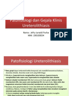 LI-4 - Patofisiologi Dan Gejala Klinis Ureterolithiasis