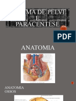 Trauma pélvico e paracentese: anatomia da região da pelve