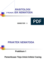 Praktek Parasit 1 ( Nematoda )