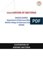 Bacterial Cultivation
