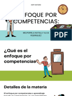 Enfoque Por Competencias