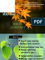 Botani - Morfologi Daun